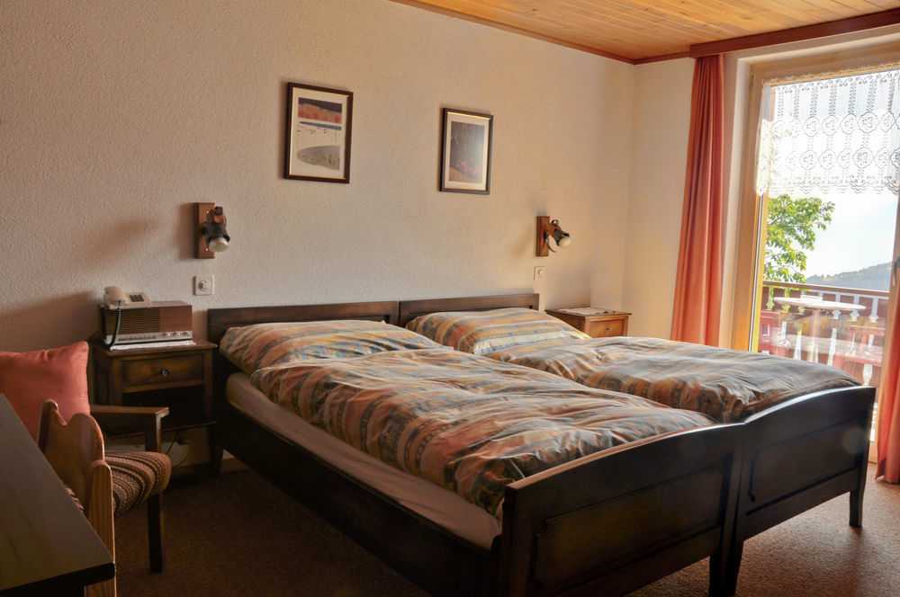 Hotel Alpenblick Zeneggen ภายนอก รูปภาพ