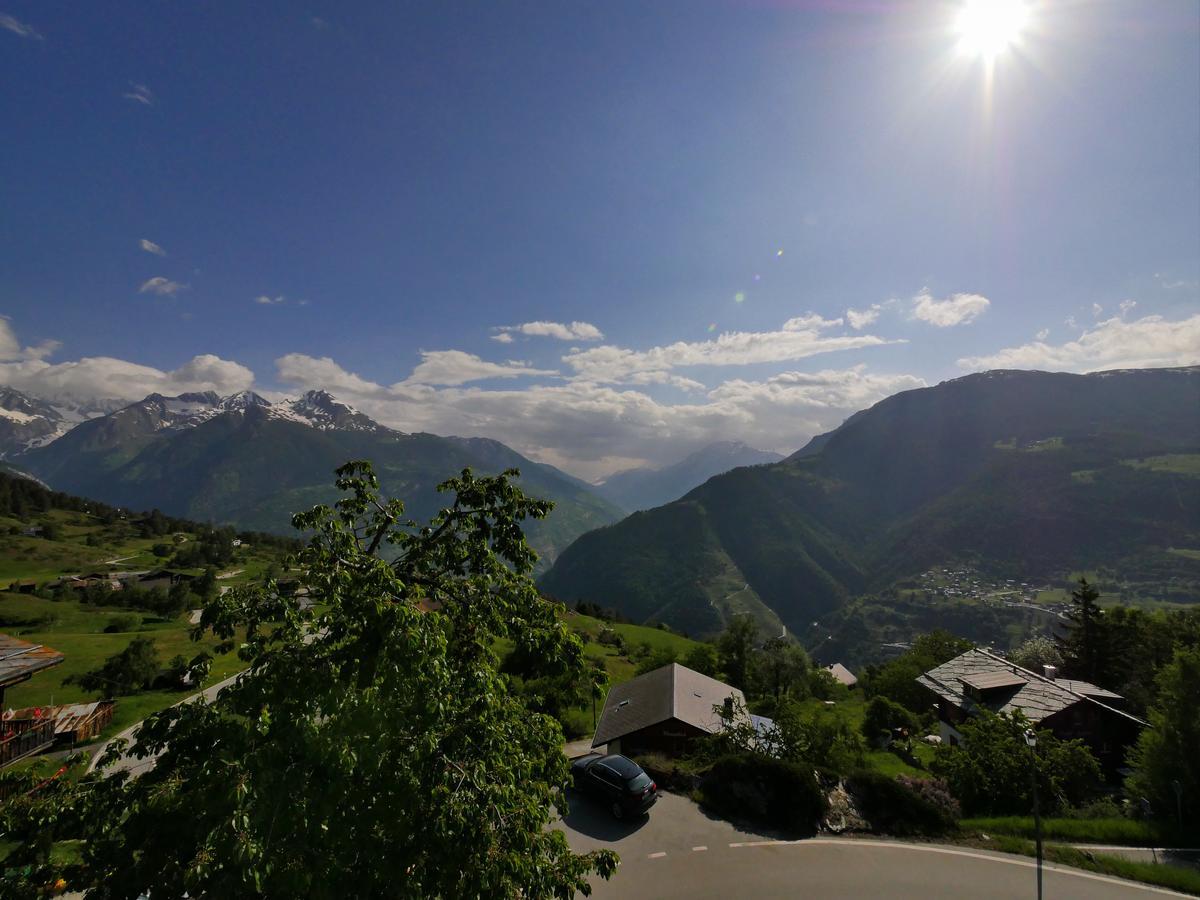 Hotel Alpenblick Zeneggen ภายนอก รูปภาพ